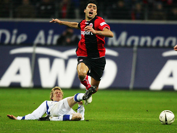 尼克斯能够 尼克斯能够